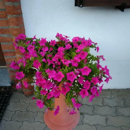 Cascina Rita Gospodarstwo wiejskie *