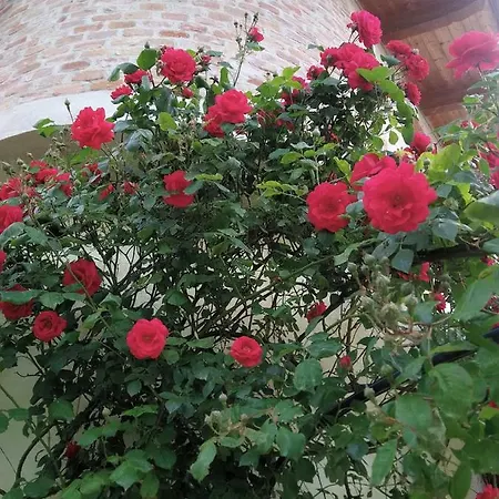 Gospodarstwo wiejskie Cascina Rita *